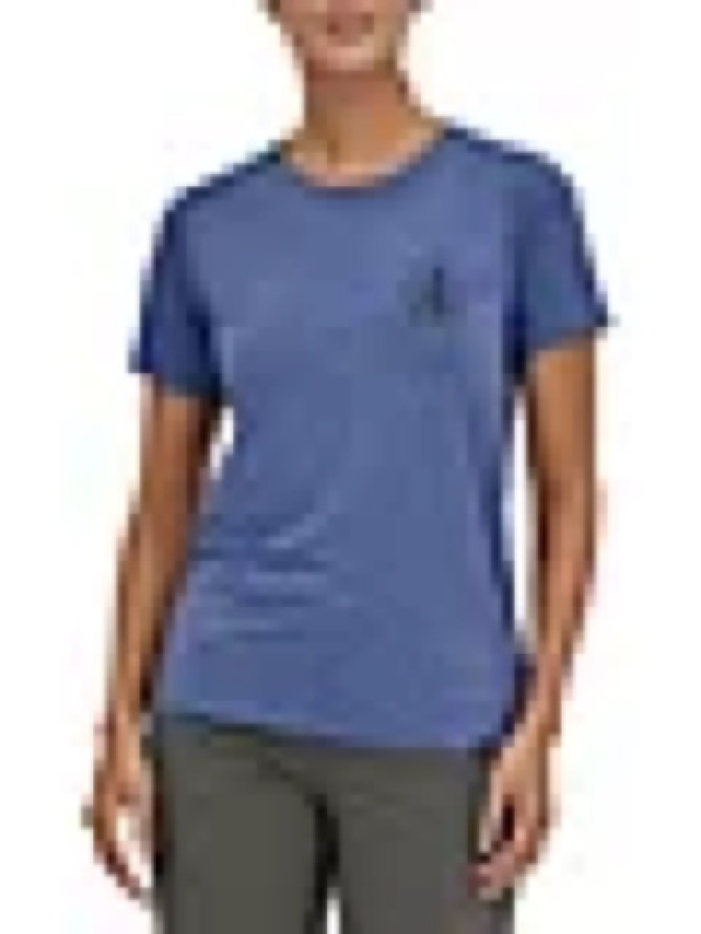 EUC Patagonia Worn Wear Patagonia Women's Capilene Cool Daily Graphic T-Shirt - Picture 7 of 8